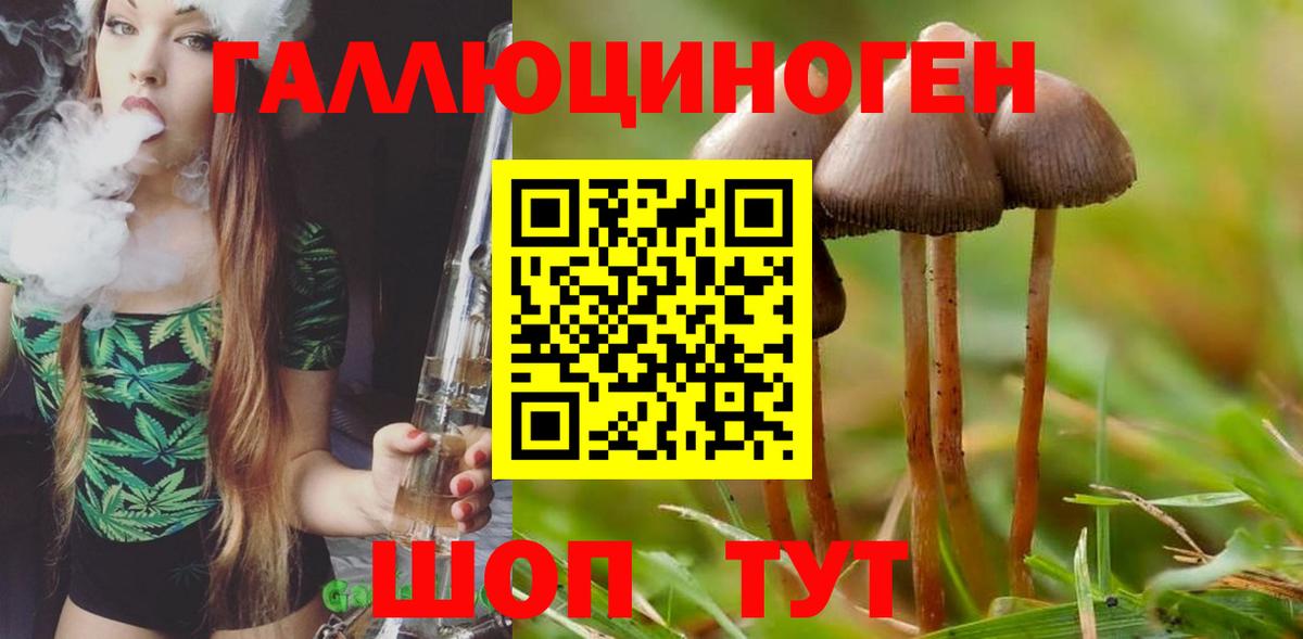 Псилоцибиновые грибы Magic Shrooms Усть-Илимск